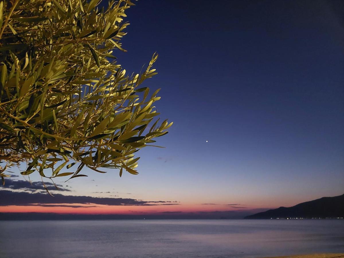Villa Sevi Vrasná Dış mekan fotoğraf