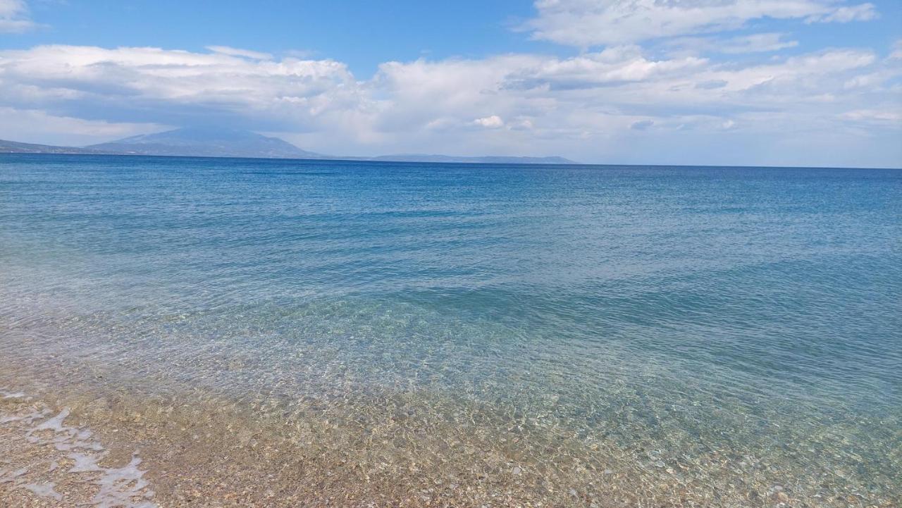 Villa Sevi Vrasná Dış mekan fotoğraf