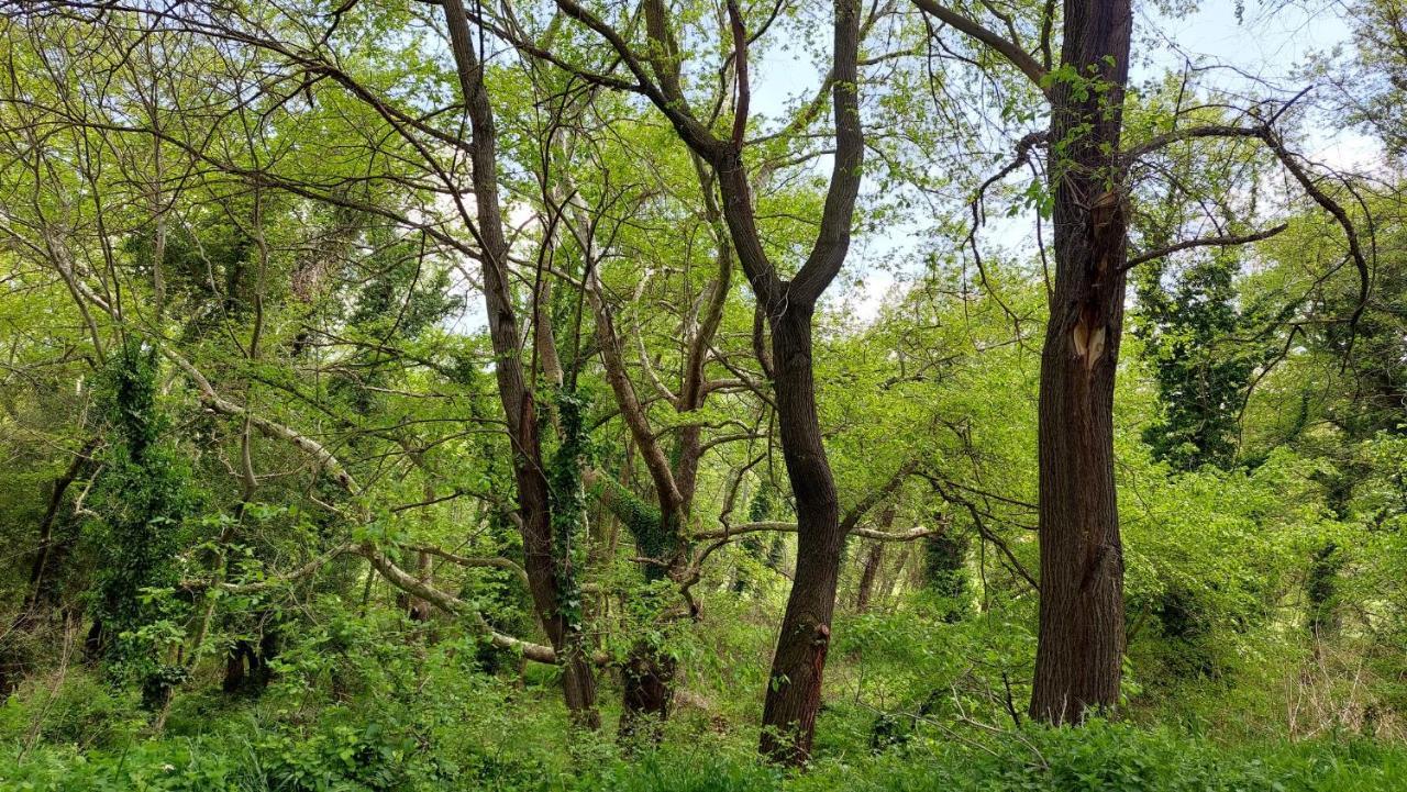 Villa Sevi Vrasná Dış mekan fotoğraf