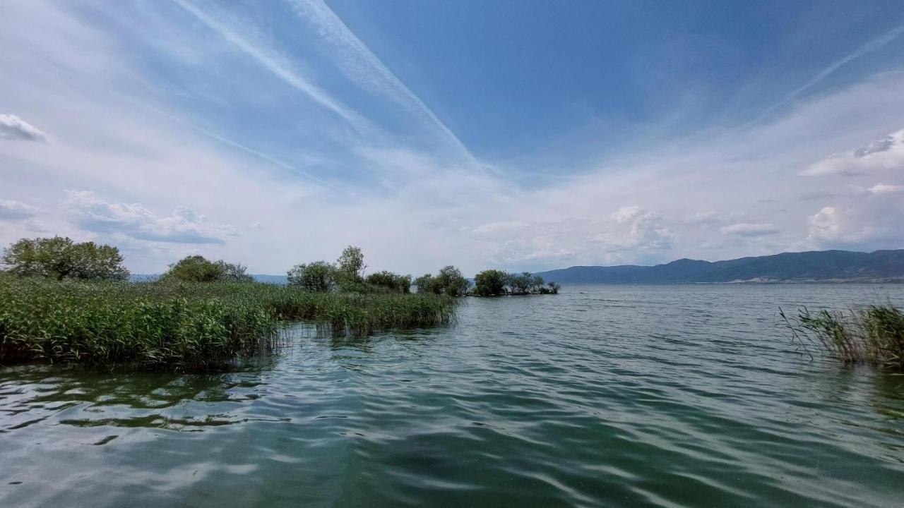 Villa Sevi Vrasná Dış mekan fotoğraf